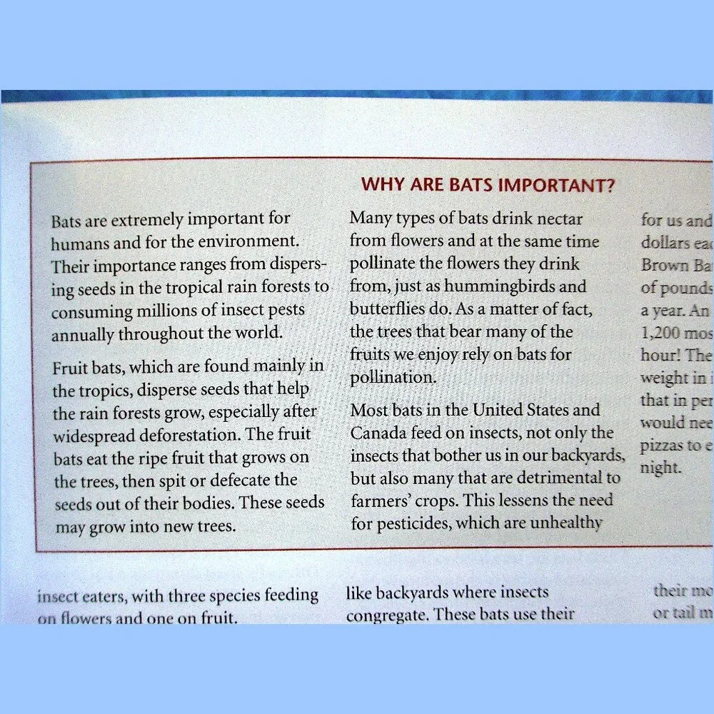 Book: Stokes Beginner's Guide to Bats -- a pocket-sized field guide - Picture 6 of 16